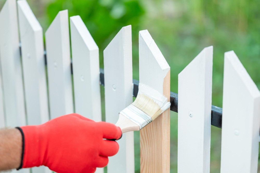 Fence Painting